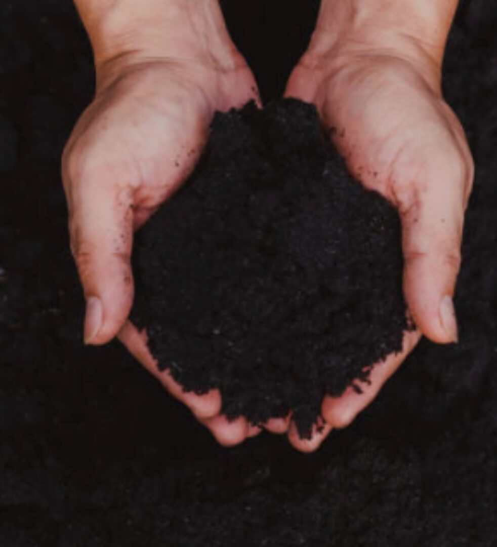A person holding dirt in their hands